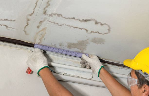 Reliable Water Damage contractor in Plymouth, MI by Water Damage Irwin